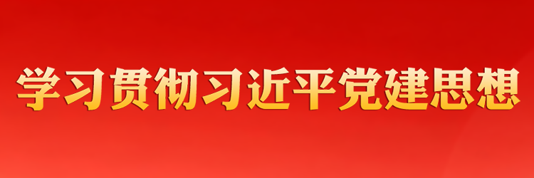 学习贯彻习近平党建思想