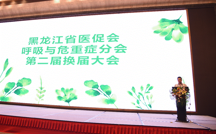晓飞