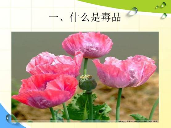 https://wkretype.bdimg.com/retype/zoom/dc640d9d6529647d27285282?pn=5&o=jpg_6&md5sum=16b3f0f06fd922f746ee030beb88a84a&sign=e3d1c94fa2&png=417075-557785&jpg=702433-843736