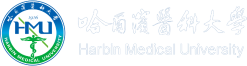 五大联赛直播入口