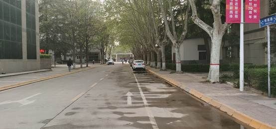 路上有许多树 AI 生成的内容可能不正确。