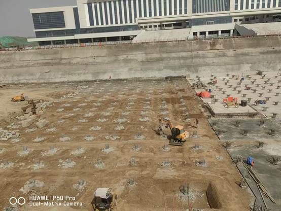 一群鸟在地上 AI 生成的内容可能不正确。